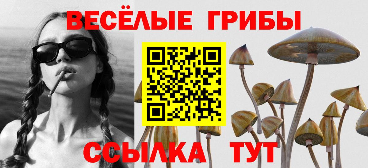Нефтекамск  Псилоцибиновые грибы Psilocybe  Вход с VPN 
