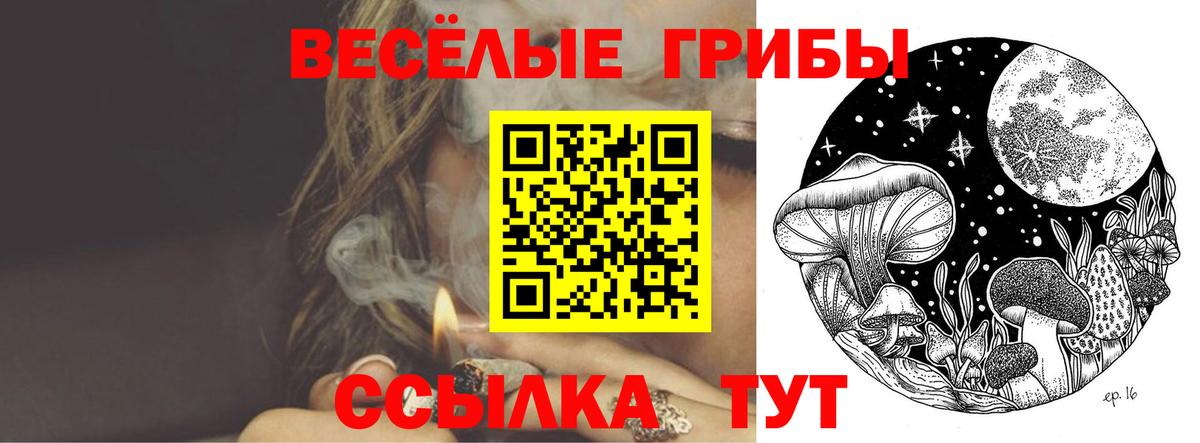 Галлюциногенные грибы Psilocybe Нефтекамск